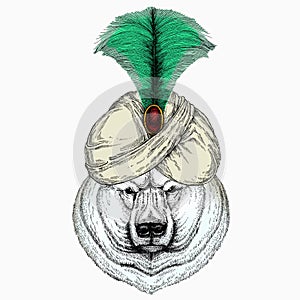 Polar bear head. Vector animal portrait. Animal and wizard hat. Sorcerer and magican