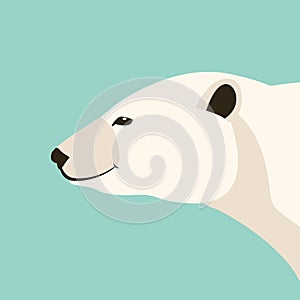 Polar bear head vector illustration flat style profile
