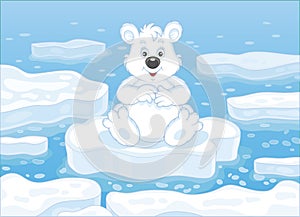 Polar bear on an ice floe