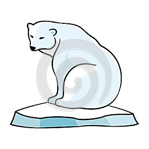 Polar bear on an ice floe.