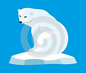 Polar bear on an ice floe.