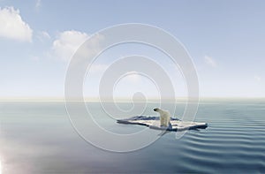 Polar Bear on ice floe