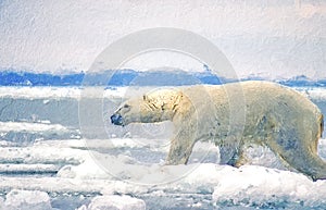 Polar bear on ice floe,digital oil painting