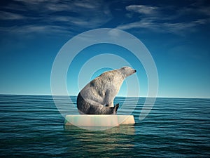 Polar bear on iceberg