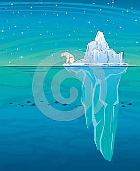 Polar bear. iceberg, ocean and night sky.