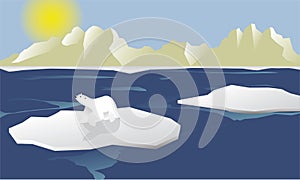 A polar bear on an iceberg rounded by the melting ocean, symbol of climate change or global warming