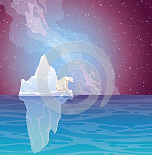 Polar bear, iceberg, sea and nothern lights