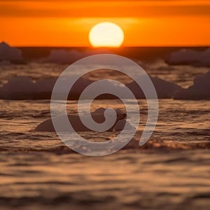 Polar Bear in Icy Waters at Sunset