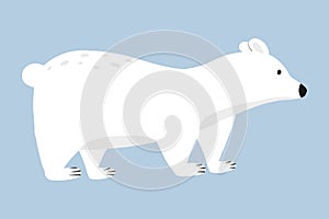 Polar bear illustration isolated on blue background. Cute hand drawn polar bear in cartoon style.