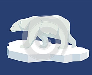 Polar bear. Illustration of a polar bear standing on an ice floe, side view. Flat style.