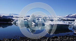 Polar bear at JÃ¶kulsarlon glacier lake