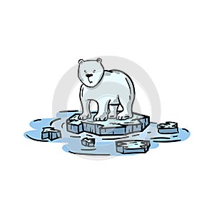 Polar bear on a melting ice floe. Consequence of global warming