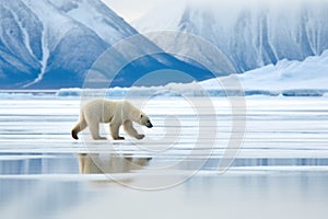 a polar bear pacing on a vast icy landscape