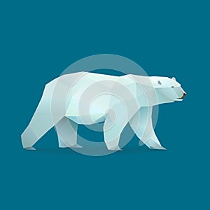 Polar bear photo