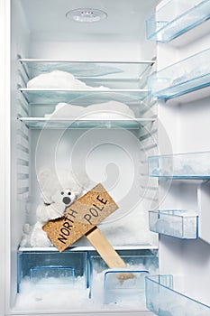 Polar bear in refrigerator with North Pole sign.