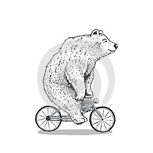 Polar bear is riding a bicycle