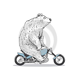 polar bear is riding on motorcycle