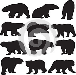 Polar bear silhouette contour photo