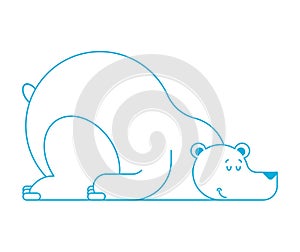 Polar bear sleep isolated. Arctic Wild beast sleep. Vector illus