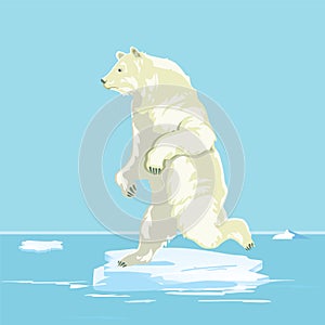 Polar bear on small ice floe