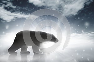 Polární medvěd v sníh bouře 