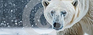 polar bear in a snow storm ai generated