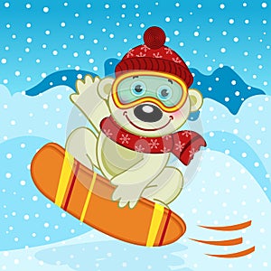 Polar bear on snowboard