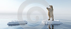 Polar bear standing on ice floe. Melting iceberg and global warming