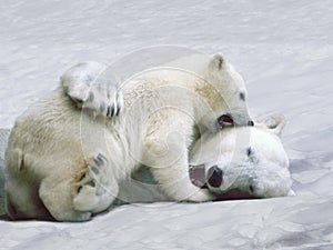 Polar Bear, thalarctos maritimus, Mother and Cub playing on Ice