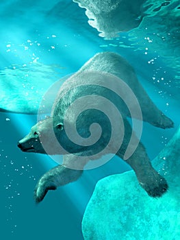 Polar Bear Under Water
