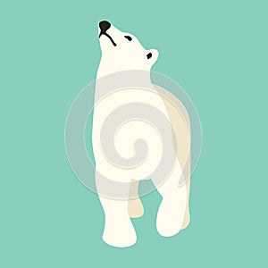 Polar bear vector illustration Flat