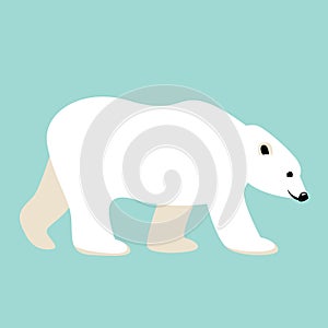 Polar bear , vector illustration,flat style,profile