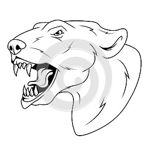 Polar bear. Vector illustration of a sketch ursus maritimus. Evil terrestrial predator of the arctic