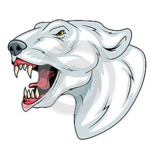 Polar bear. Vector illustration of a ursus maritimus. Evil terrestrial predator of the arctic