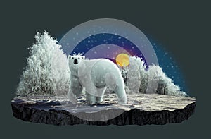 A polar bear in winter