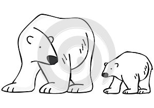 Polar Bears