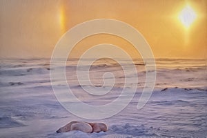 Polar bears in Arctic sunlight,photo art