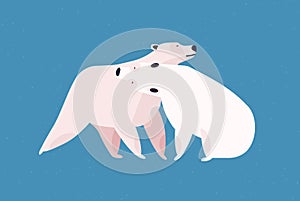 Polar bears couple flat vector illustration. Animal family embrace, love and fondness, tenderness and affection concept