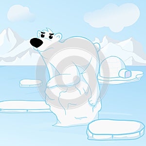 Polar bears lost their home