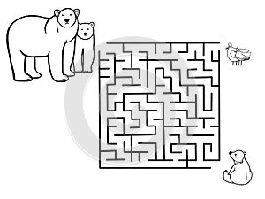 Polar bears, maze game for children