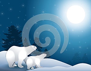 Polar Bears in Moonlight