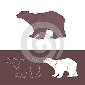 Polar bears at the North Pole. Sign, isolated symbol. Vector.
