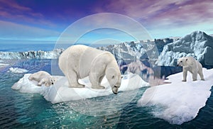 Polar bears on thin ice photo