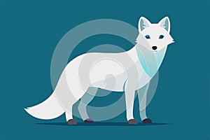 Polar Fox Vector Illustration On a White Background