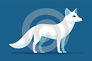 Polar Fox Vector Illustration On a White Background