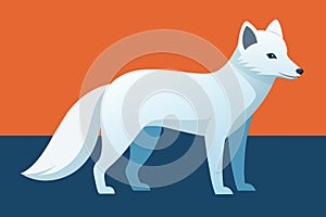 Polar Fox Vector Illustration On a White Background