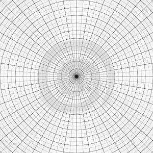 Polar graph paper. Gray grid for polar graphs.