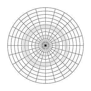 Polar grid of 10 concentric circles and 15 degrees steps. Blank vector polar graph paper