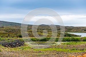 Polar landscape with granite stones and plants.