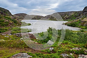 Polar landscape with granite stones and plants.